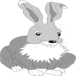 Rabbit 03 Clip Art