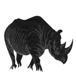 Rhino 1