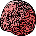 Coral - Brain Clip Art