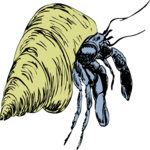 Antique Style Hermit Crab