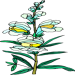 Flower 213 Clip Art