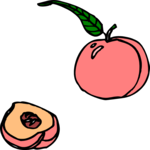 Peaches 11 Clip Art