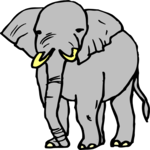 Elephant 21