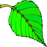Leaf 108 Clip Art