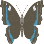 Moth 15 Clip Art
