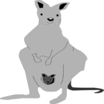 Kangaroo 2