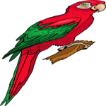Parrot 16 Clip Art