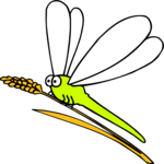 Dragonfly 4 Clip Art