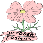 10 October - Cosmos