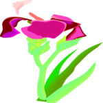 Iris 2 Clip Art