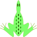Frog 8