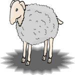 Sheep 14