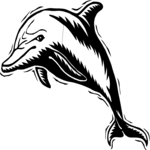Dolphin 13