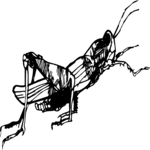 Grasshopper 03