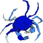 Crab Sketch