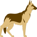 German Shepherd 1