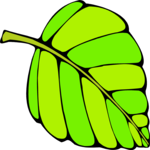 Leaf 102