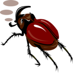 Beetle - Rhinocerous Clip Art