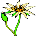 Lotus Flower 3 Clip Art