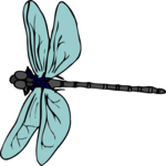 Dragonfly 06