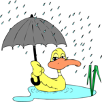 Duck in Rain Clip Art