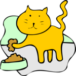 Cat & Food 13