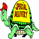 Special Delivery - Turtle