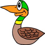 Duck 24