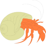 Crab - Hermit 2
