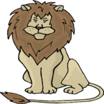 Lion 29