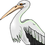 Pelican 11 Clip Art
