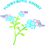 Flowering Shoot Clip Art