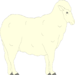 Sheep 05 Clip Art