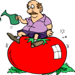 Gardener & Large Tomato