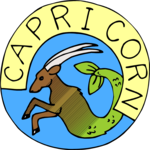 Capricorn 17