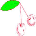 Cherries 28