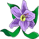 Hundredth Anniversary