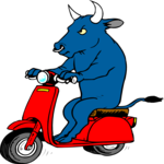 Bull on Scooter