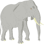 Elephant 09