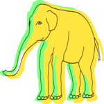 Elephant 18