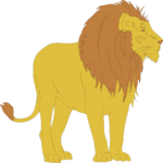 Lion 21