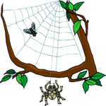 Spider & Web 3