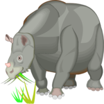 Rhinoceratoidea Clip Art