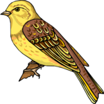 Bird 175 Clip Art