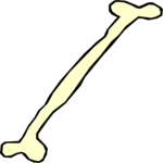 Bone 6 Clip Art