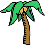Palm Tree 14