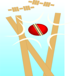 Cricket - Equipment 01