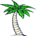 Palm Tree 23 Clip Art