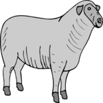 Sheep 10