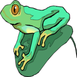 Frog 32 Clip Art